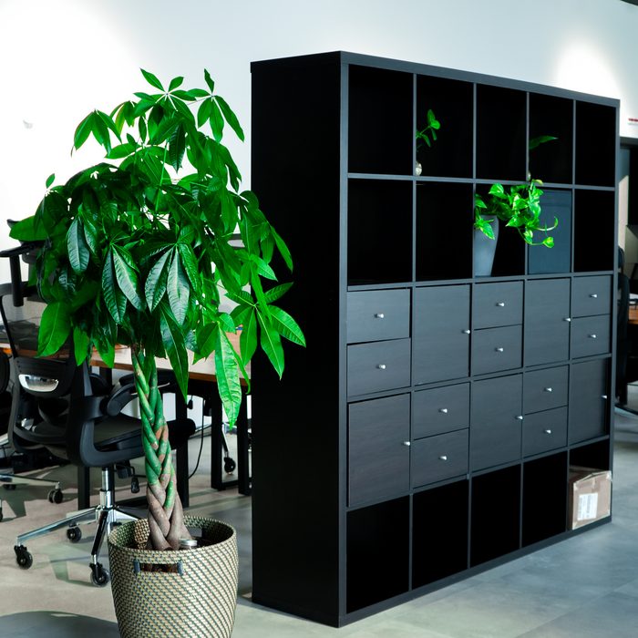 Storage and desks at 22cowork